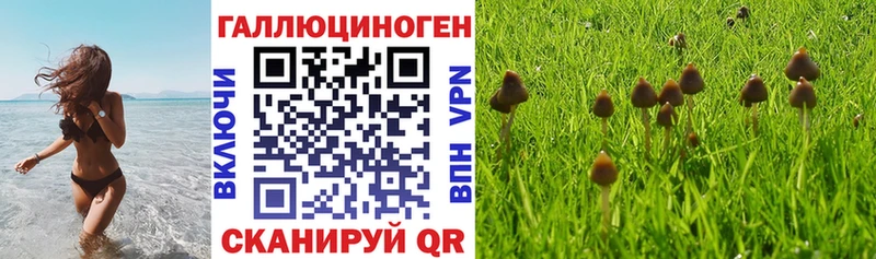 Галлюциногенные грибы мицелий Данилов
