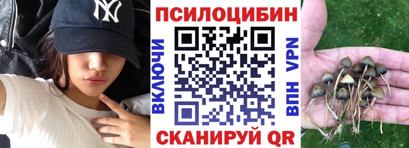Галлюциногенные грибы Cubensis  kraken ссылки  Данилов 